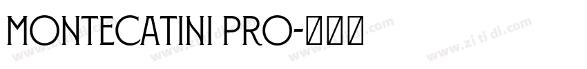 Montecatini Pro字体转换
